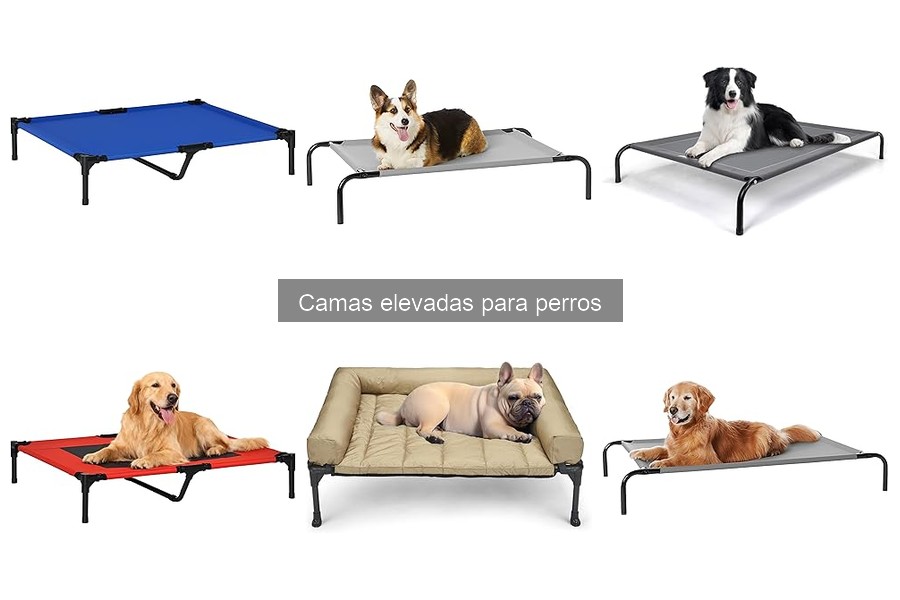 ¿Son adecuadas las camas elevadas para perros mayores?