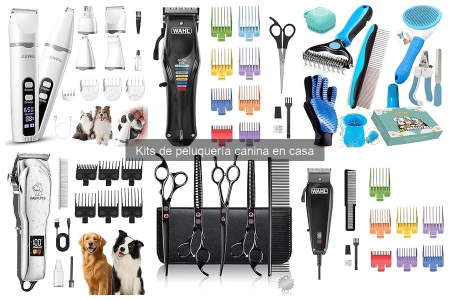 ¿Son efectivos los kits de peluquería canina en casa?