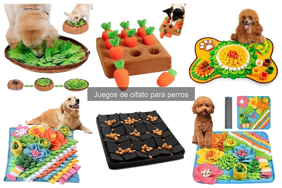¿Son los juegos de olfato adecuados para todos los perros?