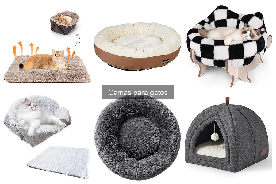 ¿Son necesarias las camas para gatos? Beneficios y ventajas