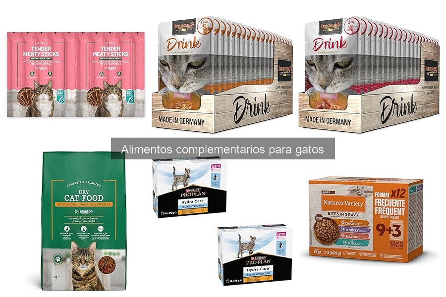 ¿Son necesarios los alimentos complementarios para gatos?