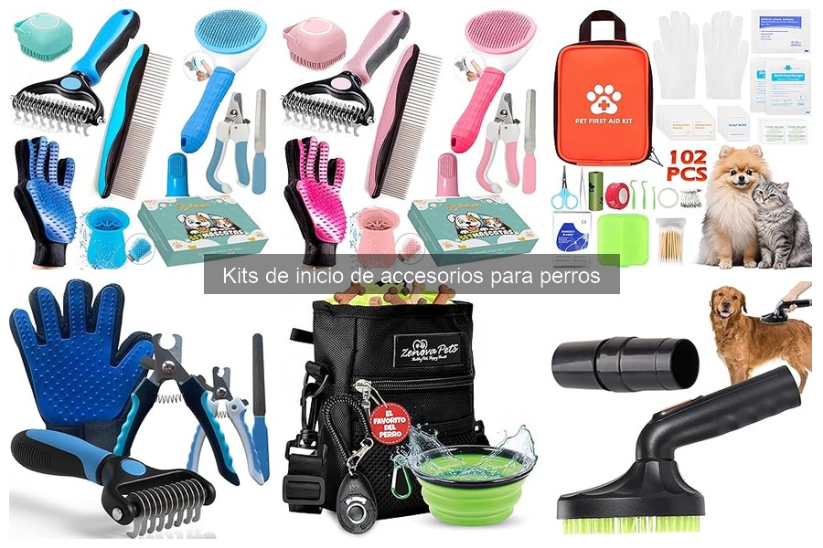 ¿Son necesarios los kits de inicio para propietarios de perros?