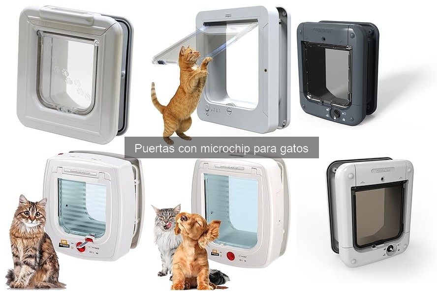 ¿Son seguras las puertas con microchip para gatos?