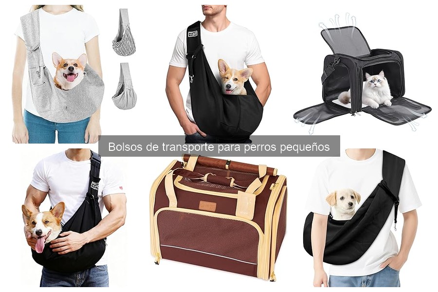 ¿Son seguros los bolsos de transporte para perros pequeños?