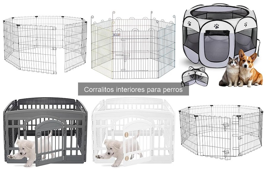 ¿Son seguros los corralitos interiores para perros?