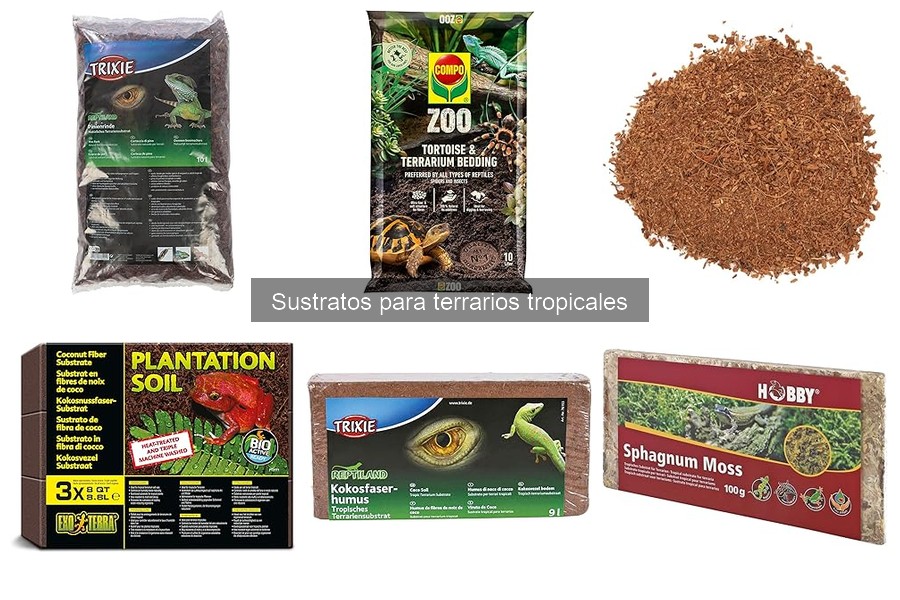 Sustratos especiales para reptiles y anfibios tropicales