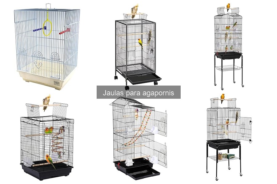 Tamaño ideal de jaula para agapornis: guía completa