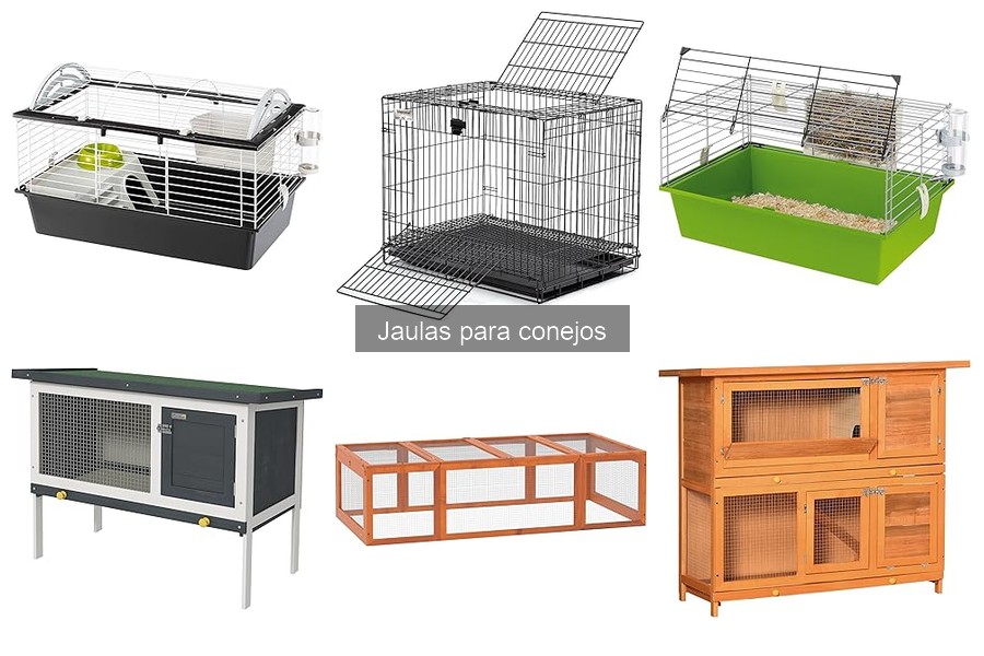 Tamaño Ideal de Jaulas para Conejos: Guía Práctica