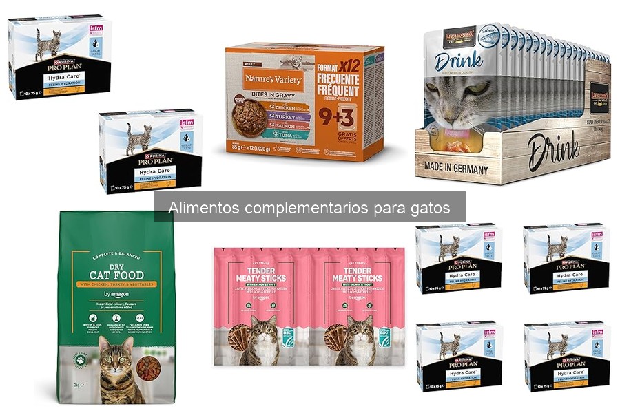 Tendencias en Alimentos Complementarios para Gatos 2024