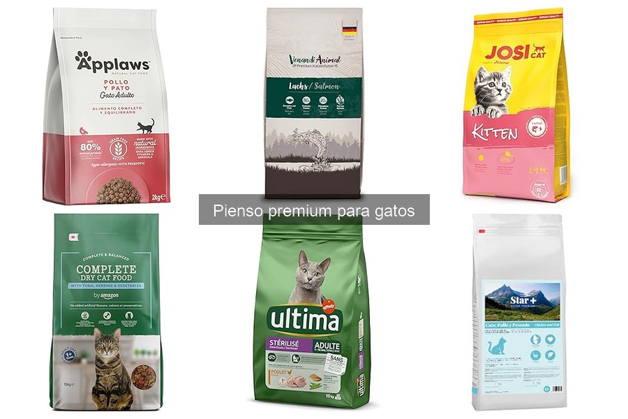 Tendencias en Piensos Premium para Gatos 2023