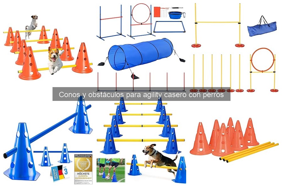 ** Testimonios sobre Conos en Agility para Perros: Experiencias Reales