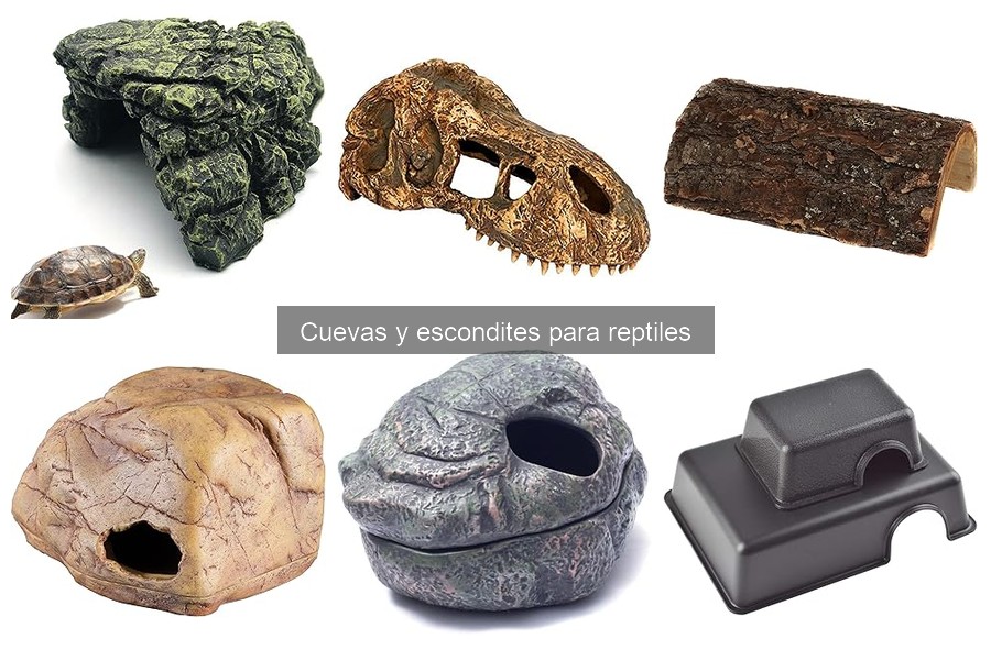 Testimonios sobre cuevas para reptiles: experiencias reales