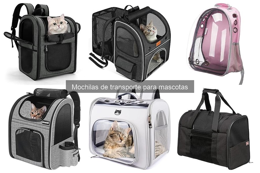 Testimonios sobre mochilas de transporte para gatos