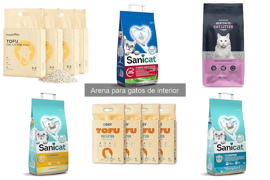Tipos de arena para gatos: características y ventajas