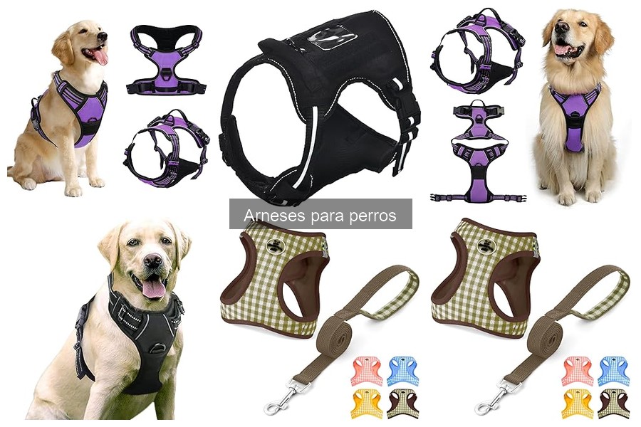 Tipos de arneses para perros: Guía y características