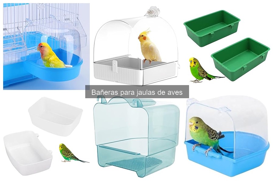 Tipos de Bañeras para Jaulas de Aves: Guía Completa