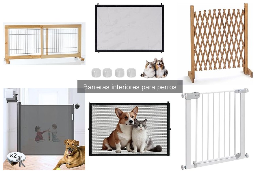 Tipos de barreras interiores para perros: Guía completa