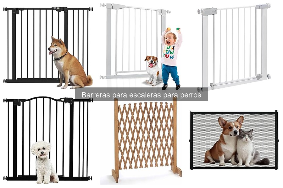 Tipos de barreras para escaleras para perros: Guía completa