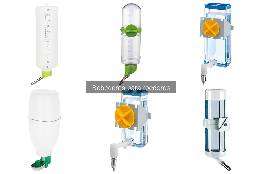 Tipos de bebederos para roedores: ventajas y desventajas