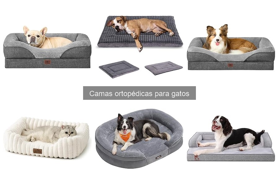 Tipos de camas ortopédicas para gatos: guía completa
