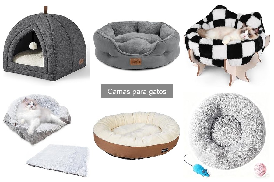 Tipos de camas para gatos y sus beneficios