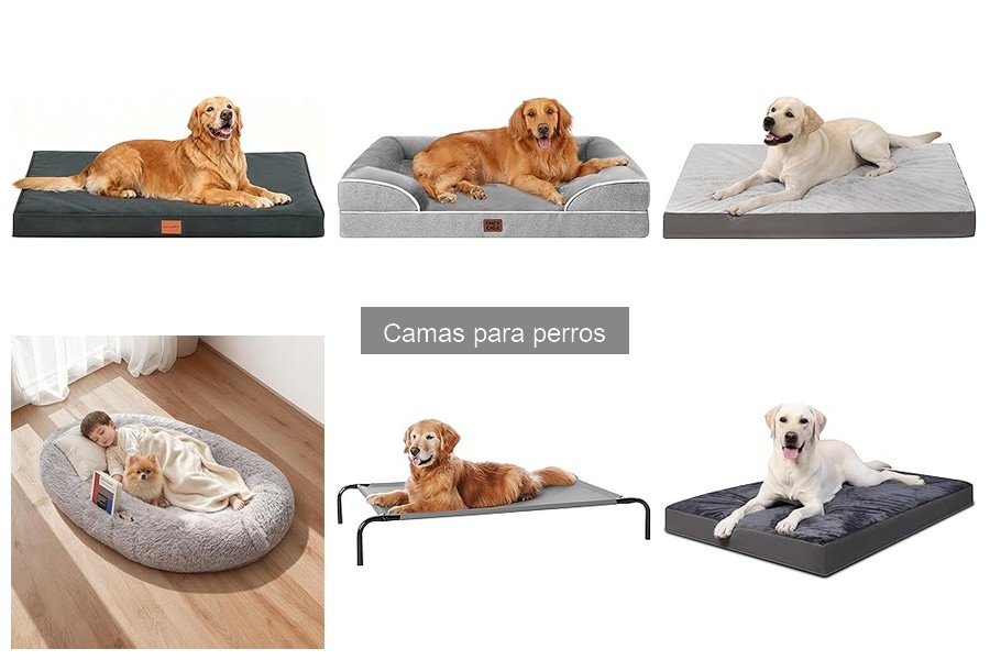 Tipos de camas para perros: ¡Encuentra la ideal para tu mascota!