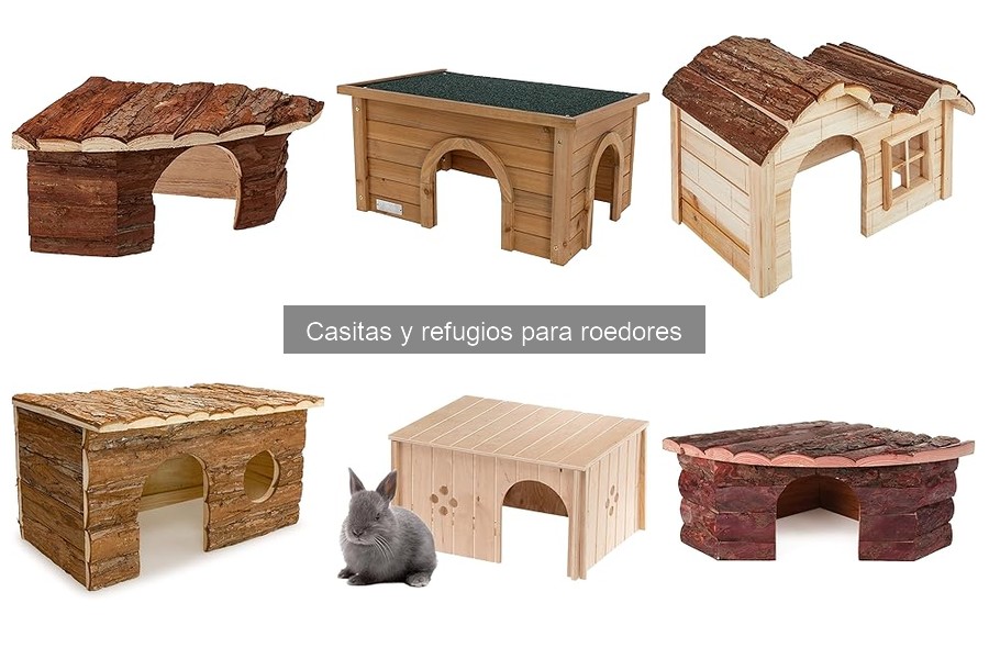Tipos de casitas y refugios para roedores: guía completa