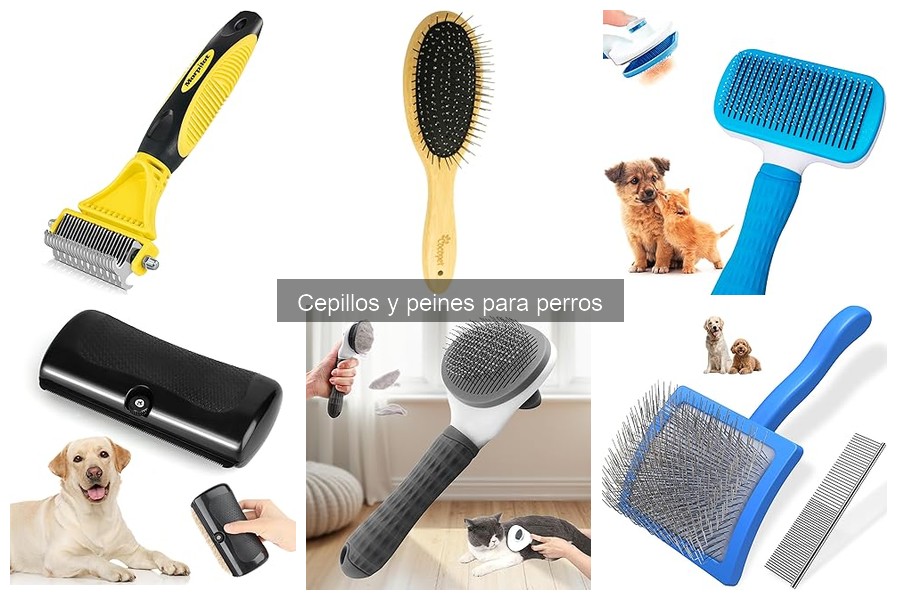 Tipos de Cepillos y Peines para Perros: Guía Completa