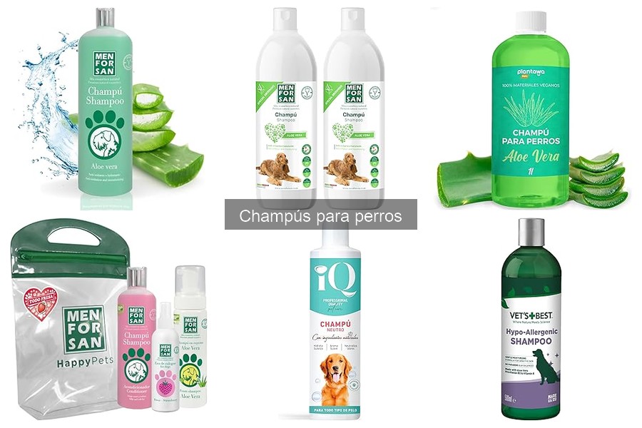 Tipos de champús para perros: ¿cuál elegir para tu mascota?
