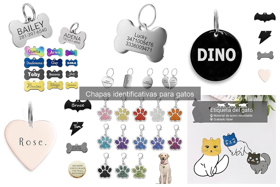 Tipos de chapas identificativas para gatos: metal, plástico y más