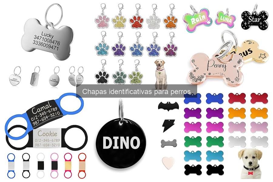 Tipos de chapas identificativas para perros: guía completa