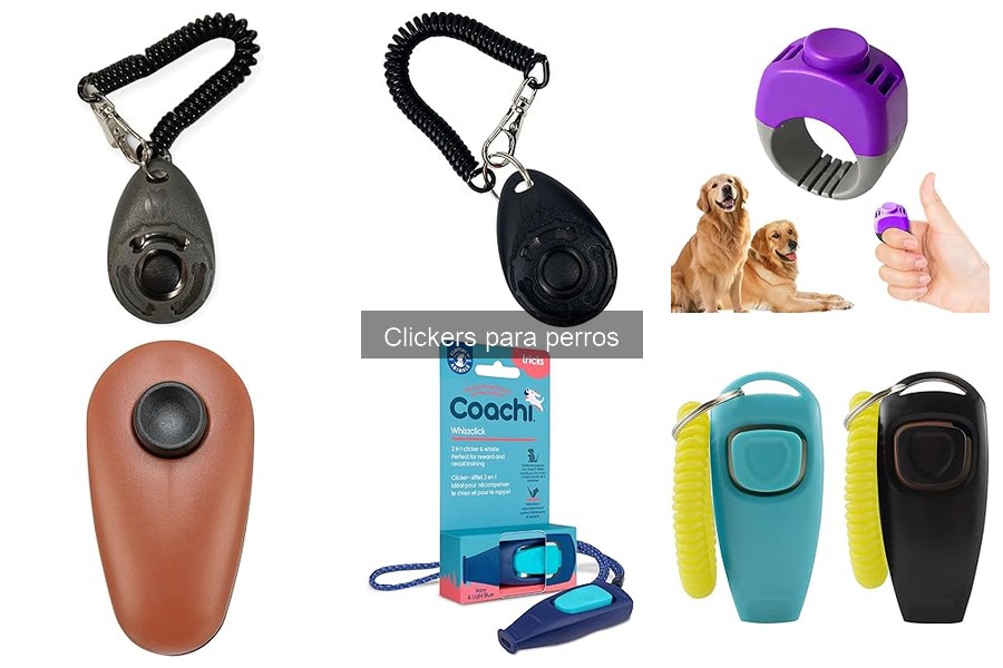 Tipos de clickers para perros: características y beneficios