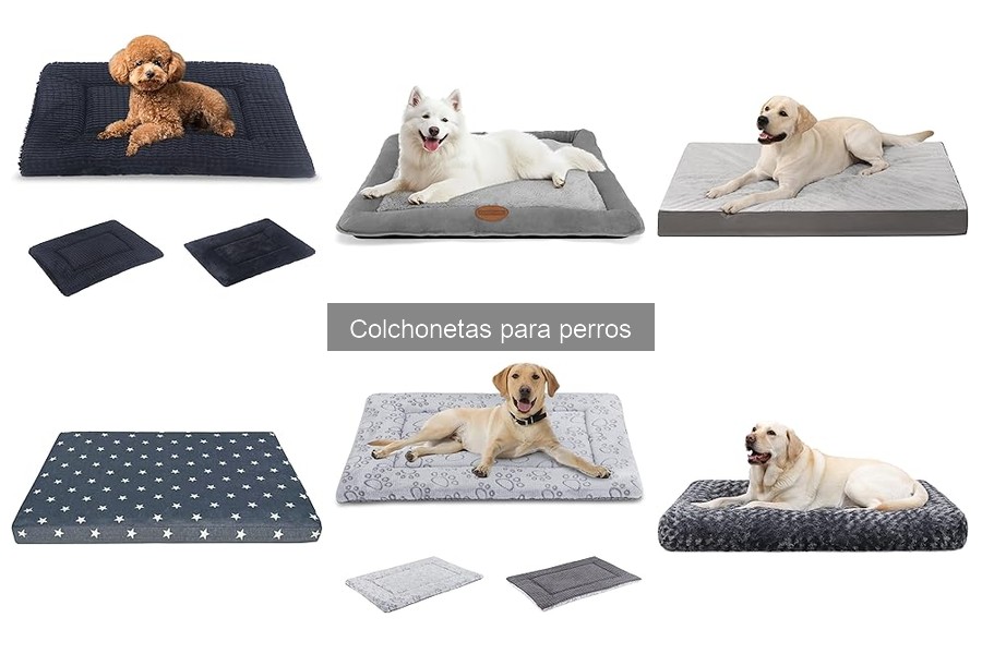 Tipos de colchonetas para perros: guía completa 2023