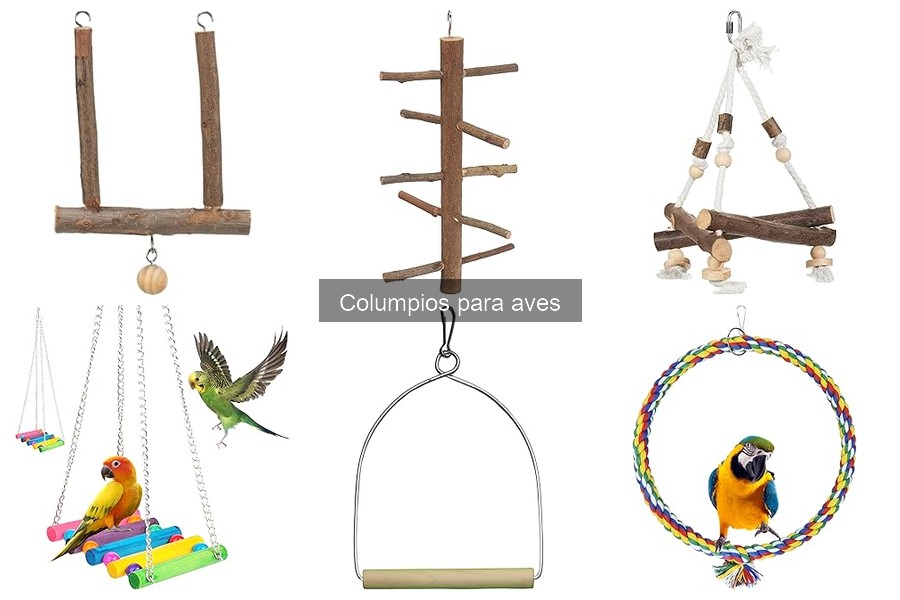 Tipos de columpios para aves: materiales y diseños