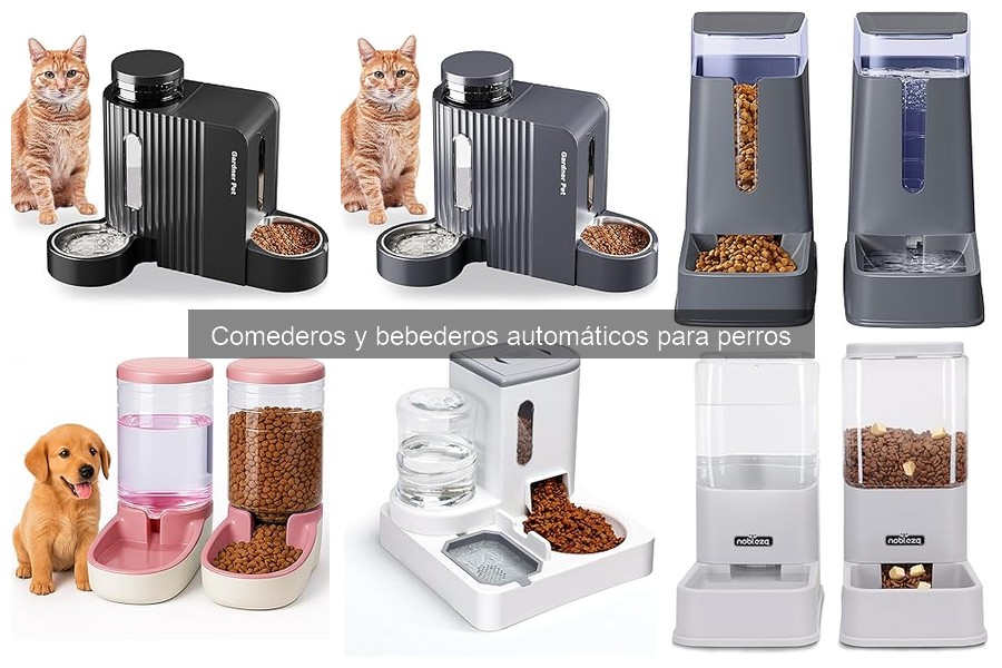 Tipos de comederos automáticos para perros: guía completa