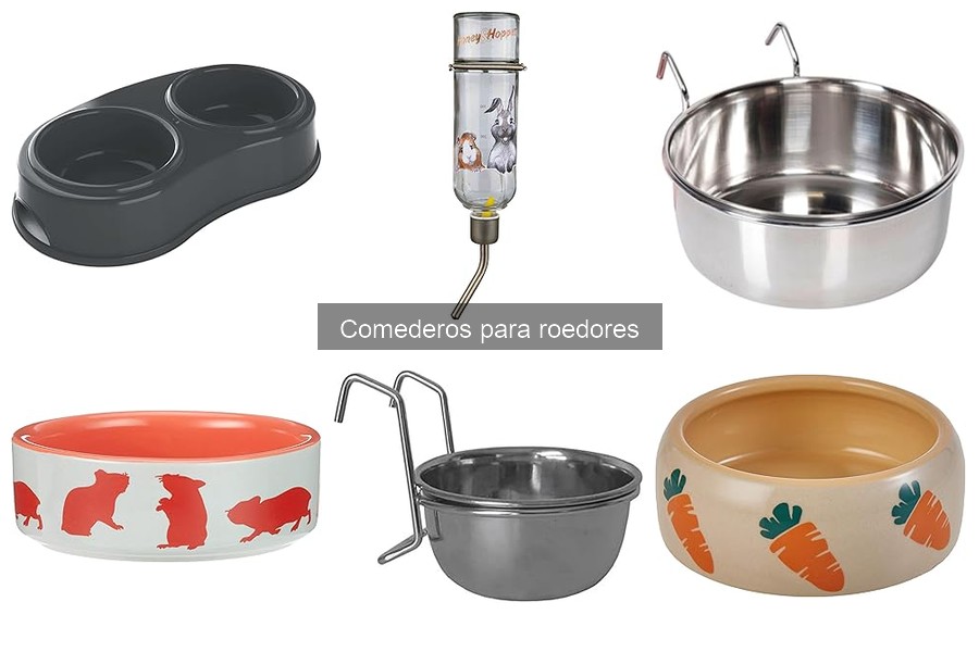 Tipos de comederos para roedores: ventajas y desventajas