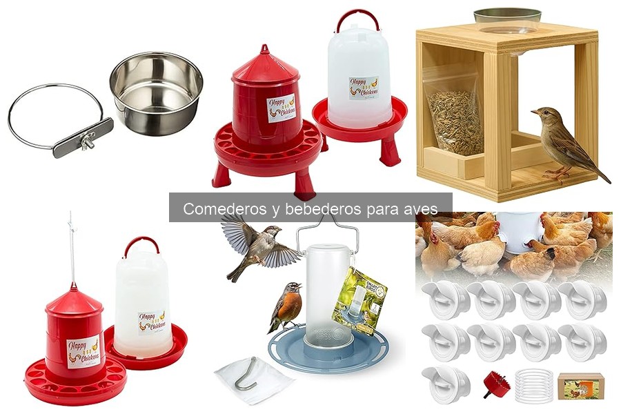 Tipos de comederos y bebederos para aves: guía completa