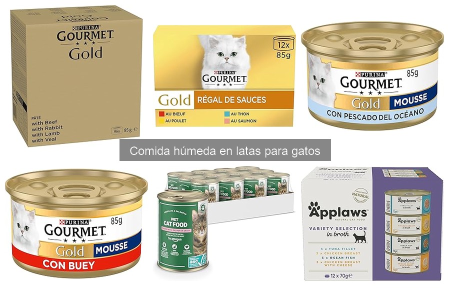 Tipos de comida húmeda en latas para gatos: ¡Elige la mejor!