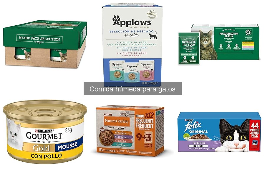 Tipos de comida húmeda para gatos: Latas, sobres y más