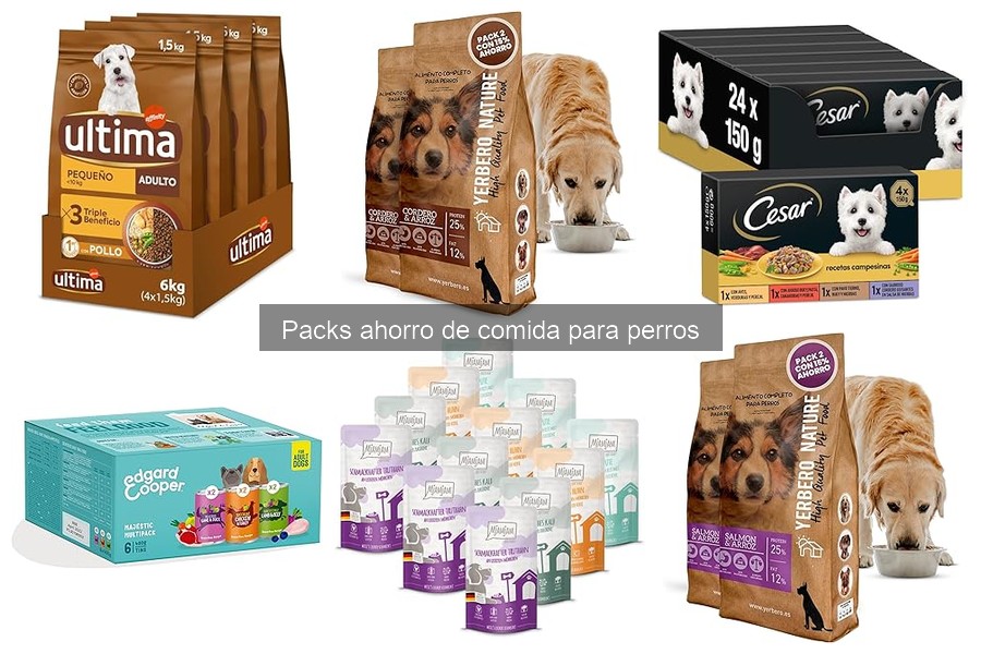 Tipos de comida para perros en packs | Guía completa