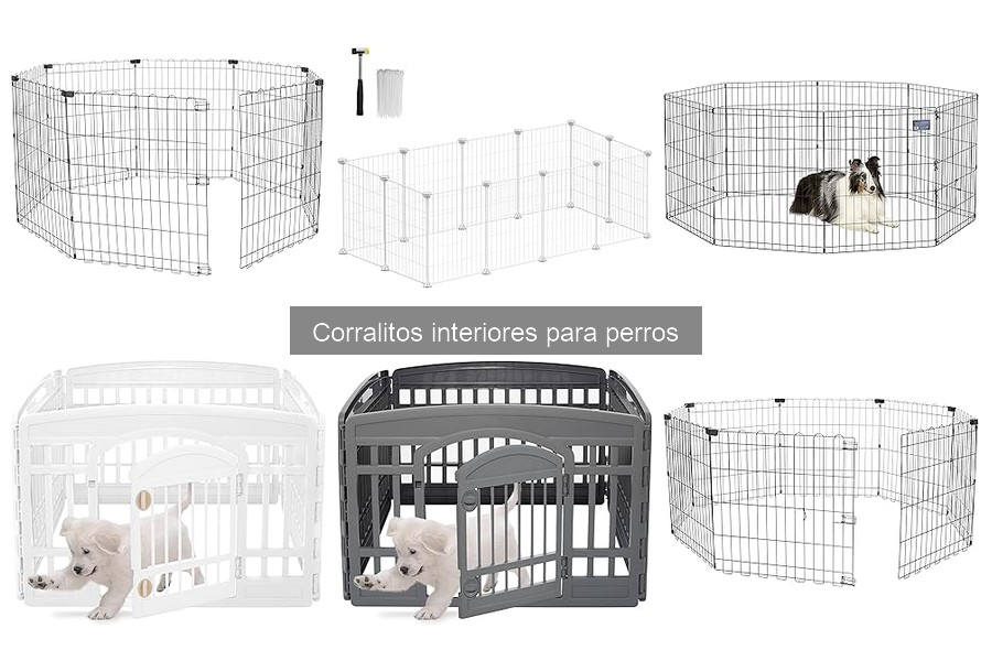 Tipos de corralitos interiores para perros: guía completa