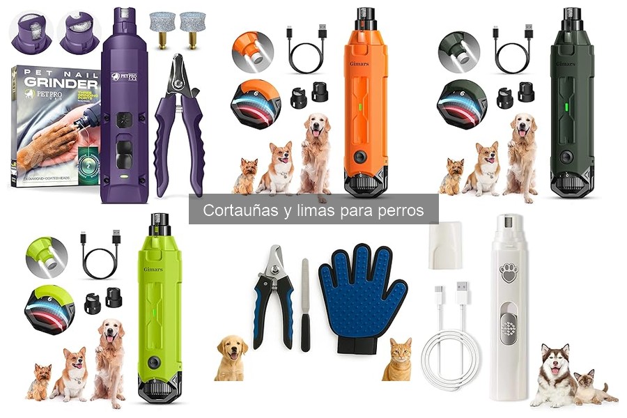 Tipos de cortauñas para perros: guía de selección ideal