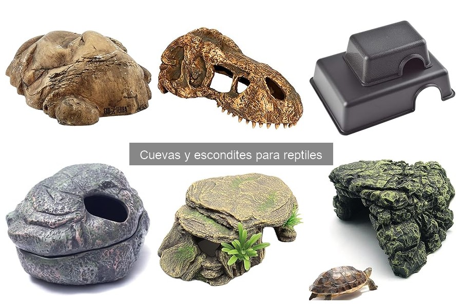 Tipos de Cuevas y Escondites para Reptiles: Guía Completa