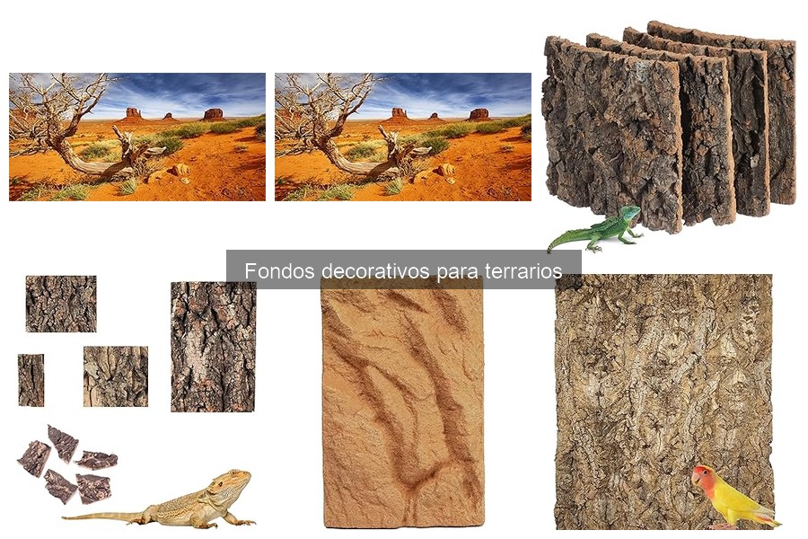 Tipos de fondos decorativos para terrarios: Guía esencial