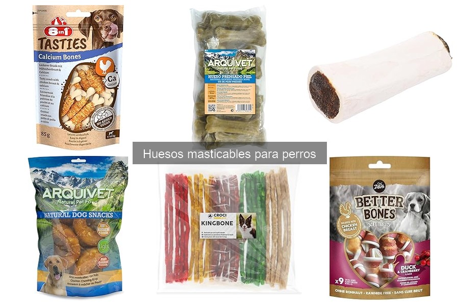 Tipos de Huesos Masticables para Perros: Guía Completa