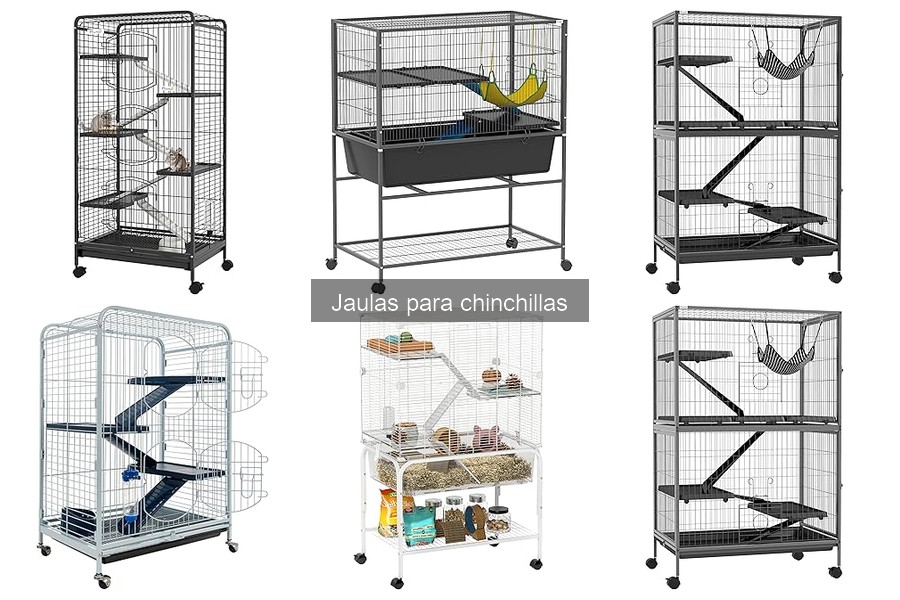 Tipos de jaulas para chinchillas: descubre las mejores opciones