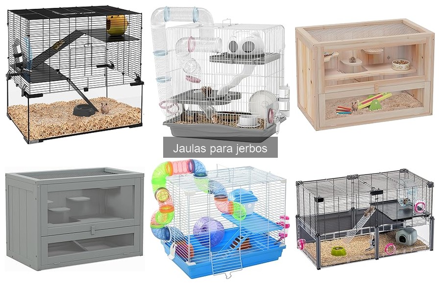 Tipos de jaulas para jerbos: guía de opciones esenciales