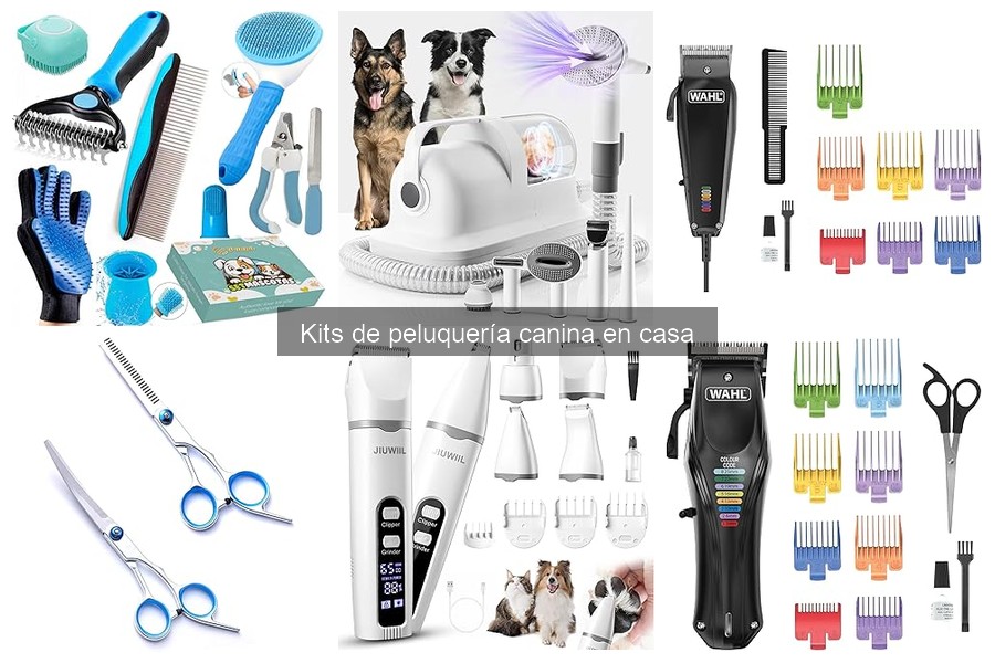 Tipos de kits de peluquería canina para hacer en casa