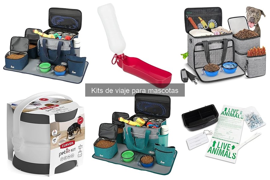 Tipos de Kits de Viaje para Perros y Gatos: Guía Completa