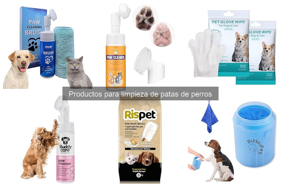 Tipos de limpiapatas para perros: características esenciales